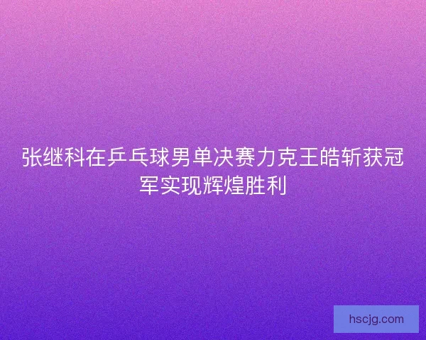 张继科在乒乓球男单决赛力克王皓斩获冠军实现辉煌胜利